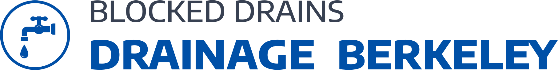 website logo